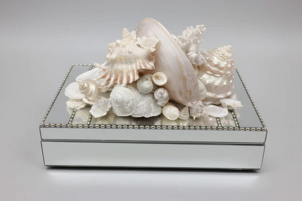 Box with Shells