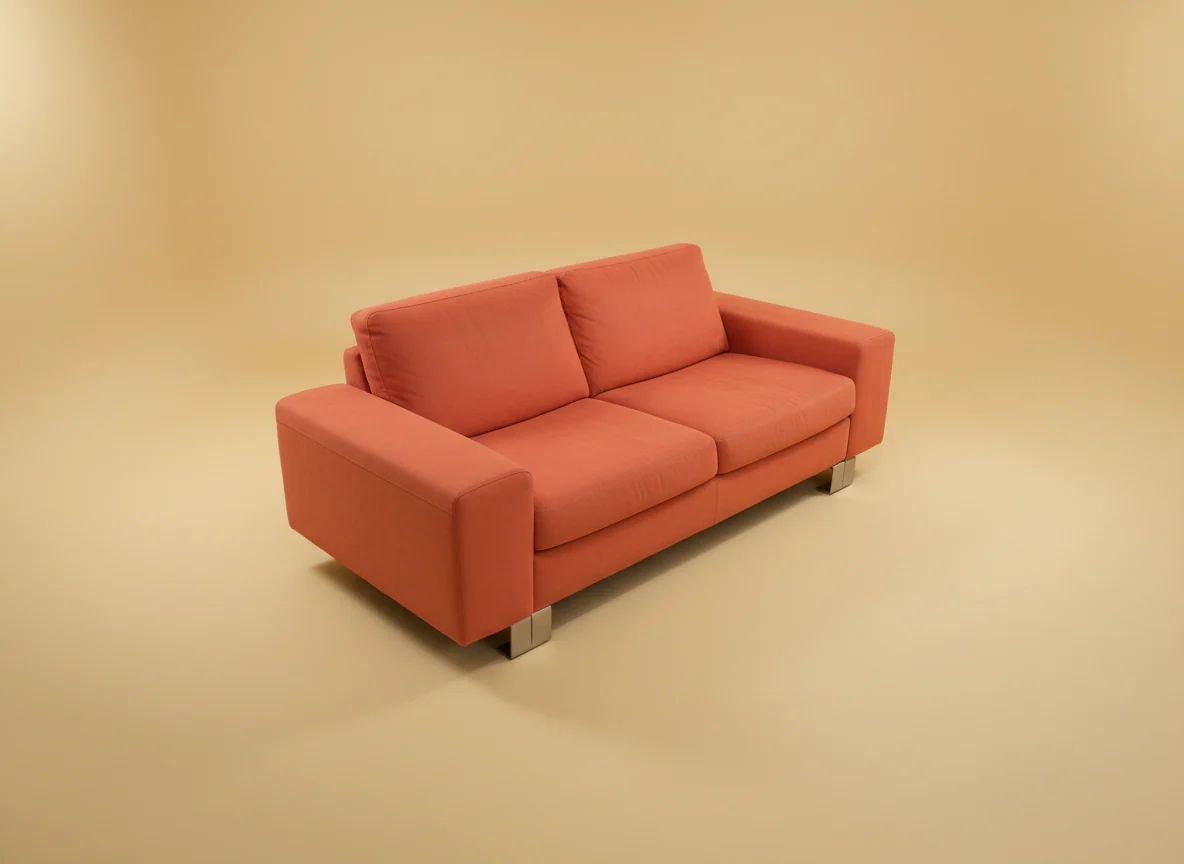Natuzzi Two Cushion Sofa