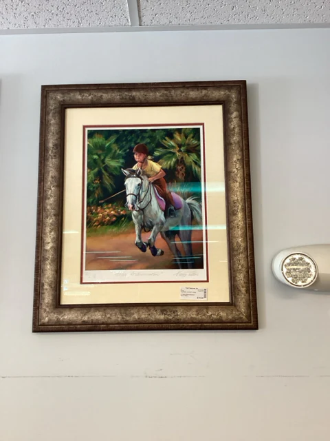 Prints-20.5x24-"Sheer Determination"
